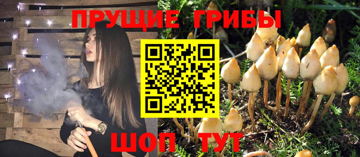 Аксай  Галлюциногенные грибы MAGIC MUSHROOMS  Вход с VPN 